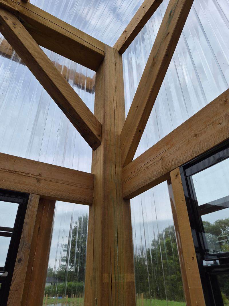 Looking up into the timber frame of the greenhouse